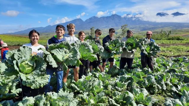 Located on a wide plateau in central Mindanao, Bukidnon is a major source of agricultural products, such as grains, fruits, vegetables, and livestock. Photo courtesy of Mindanao Development Authority.