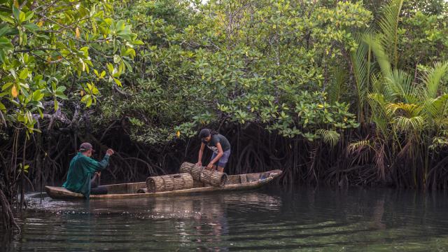 A man and woman riding a boat through mangroves in the Philippines.