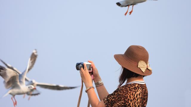 A woman taking photos with birds flying in the background.