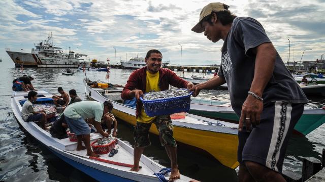 Fishers are unloading buckets of fish from their boats in Makassar, South Sulawesi, Indonesia. Photo credit: Asian Development Bank.