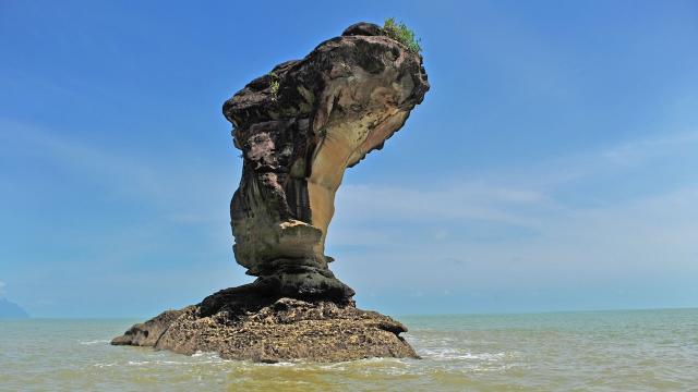 The Cobra Head Sea Stack rock formation at the Bako National Park.